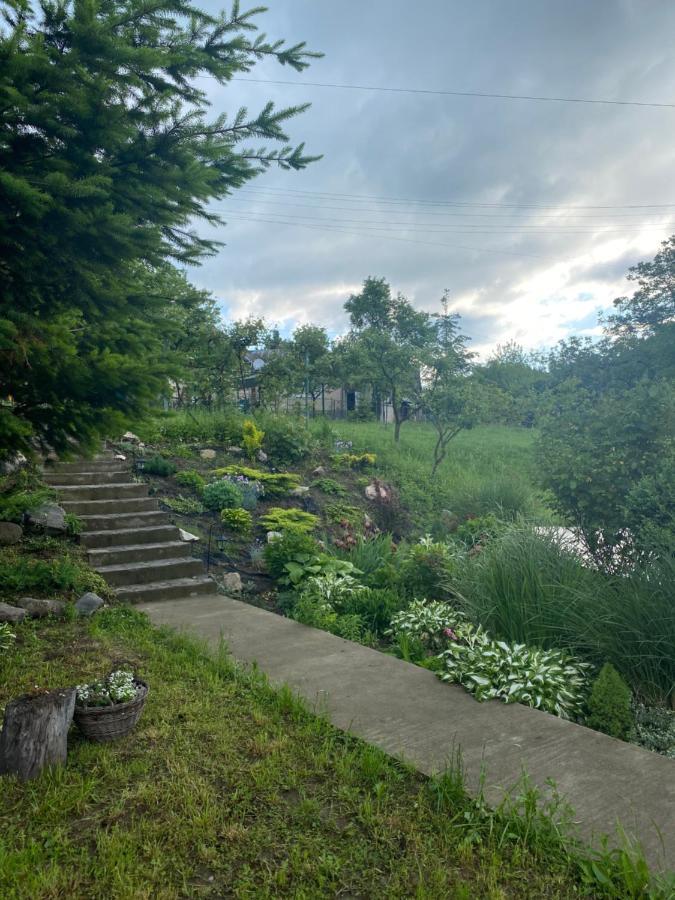 Holiday Home Usadba Novoselitsa Novoselitsa  Extérieur photo