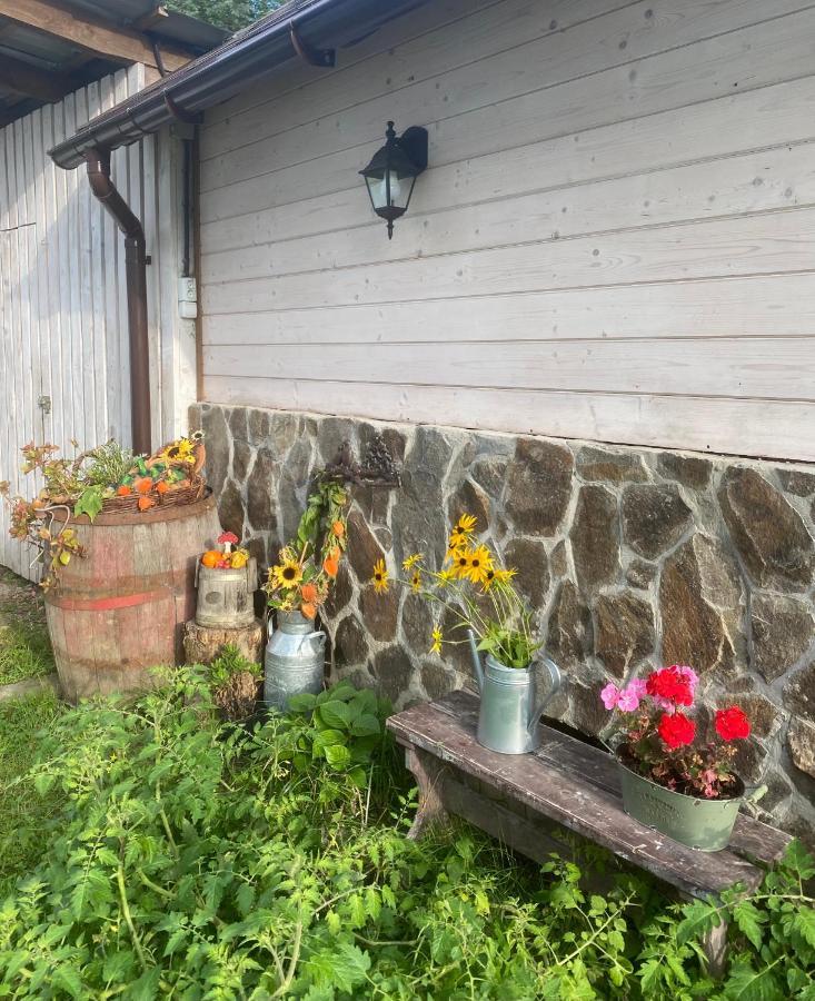 Holiday Home Usadba Novoselitsa Novoselitsa  Extérieur photo