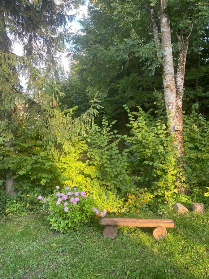 Holiday Home Usadba Novoselitsa Novoselitsa  Extérieur photo