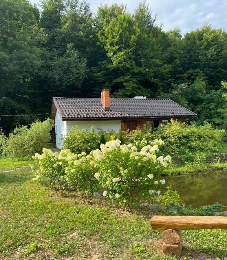 Holiday Home Usadba Novoselitsa Novoselitsa  Extérieur photo