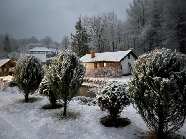Holiday Home Usadba Novoselitsa Novoselitsa  Extérieur photo